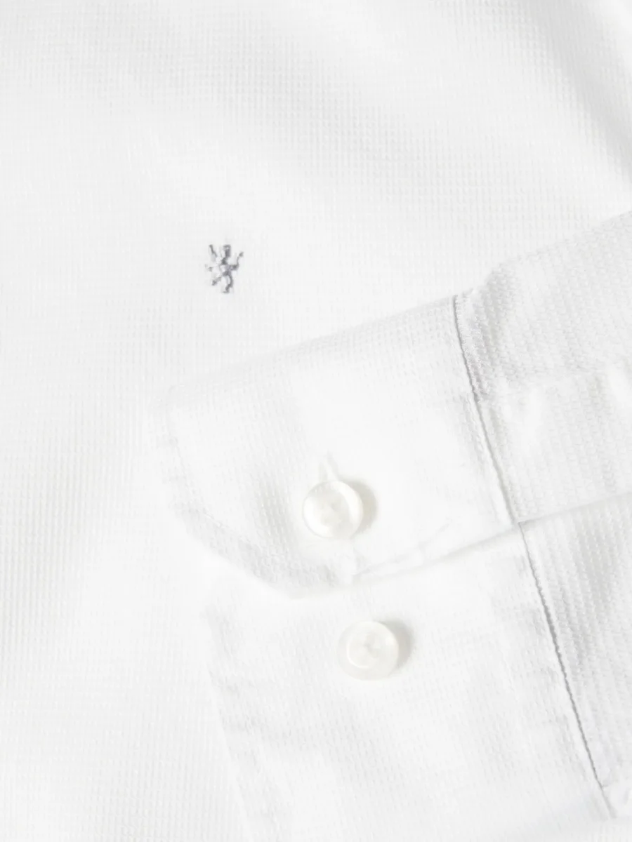 Camisa Lion of Porches - Image 6